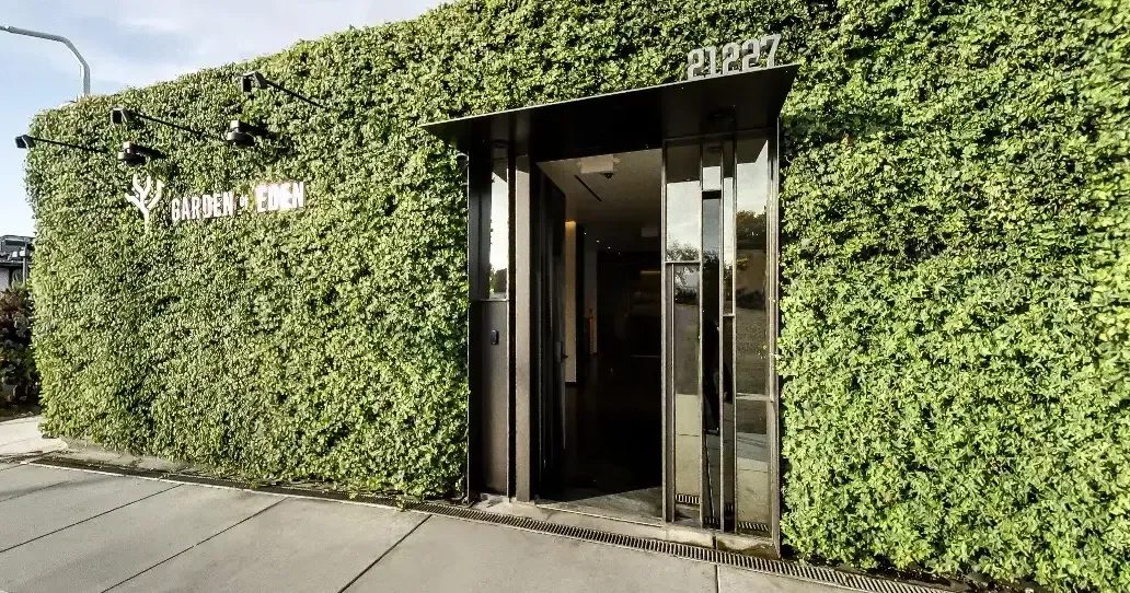 Entrance to Garden of Eden dispensary with green wall and address 21227